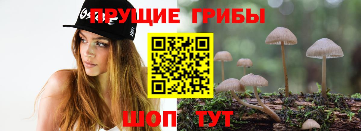 Галлюциногенные грибы Cubensis  Псилоцибиновые грибы мицелий  цены   Вход с VPN  Павлово 